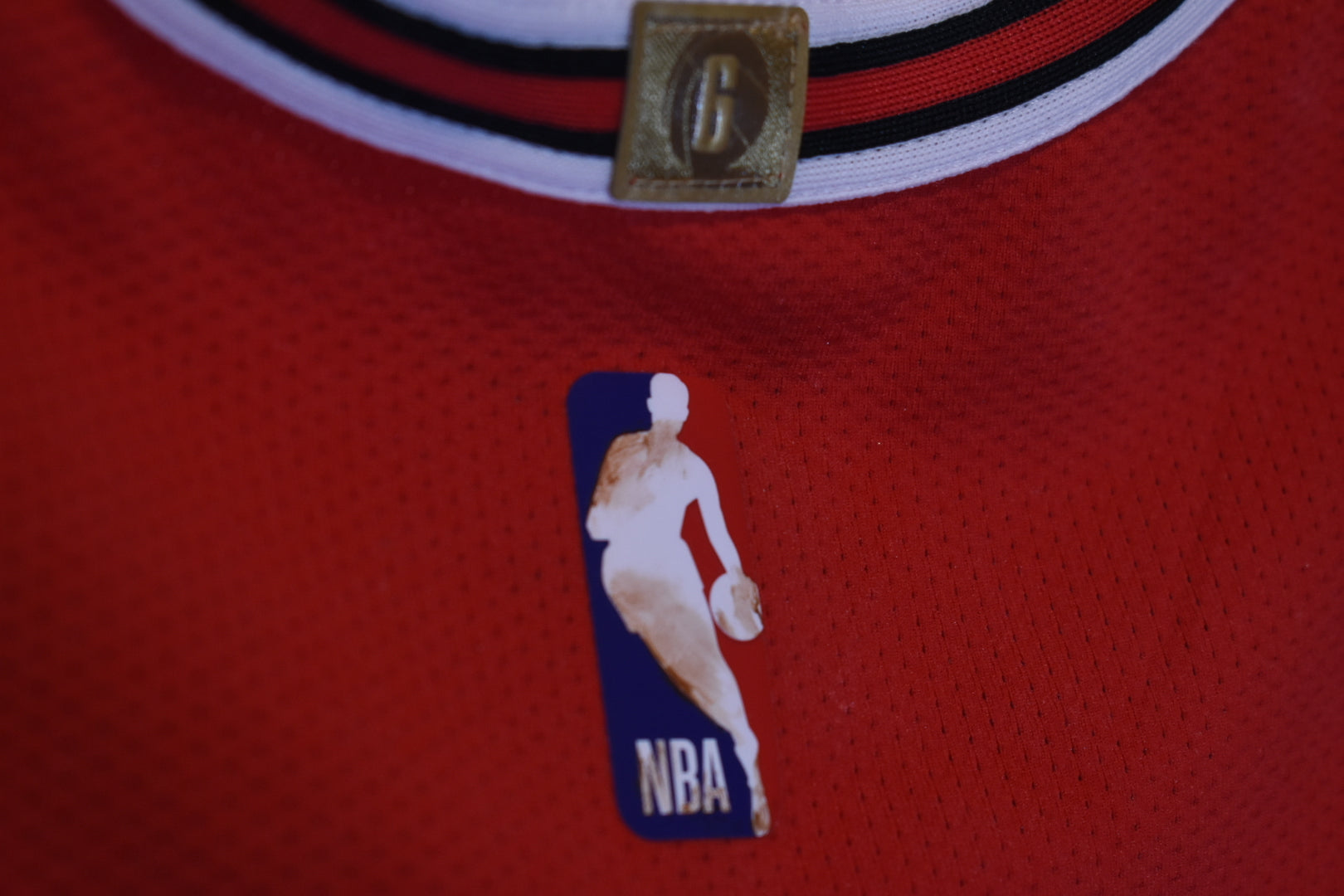 “Hall of Bulls” Authentic Jersey