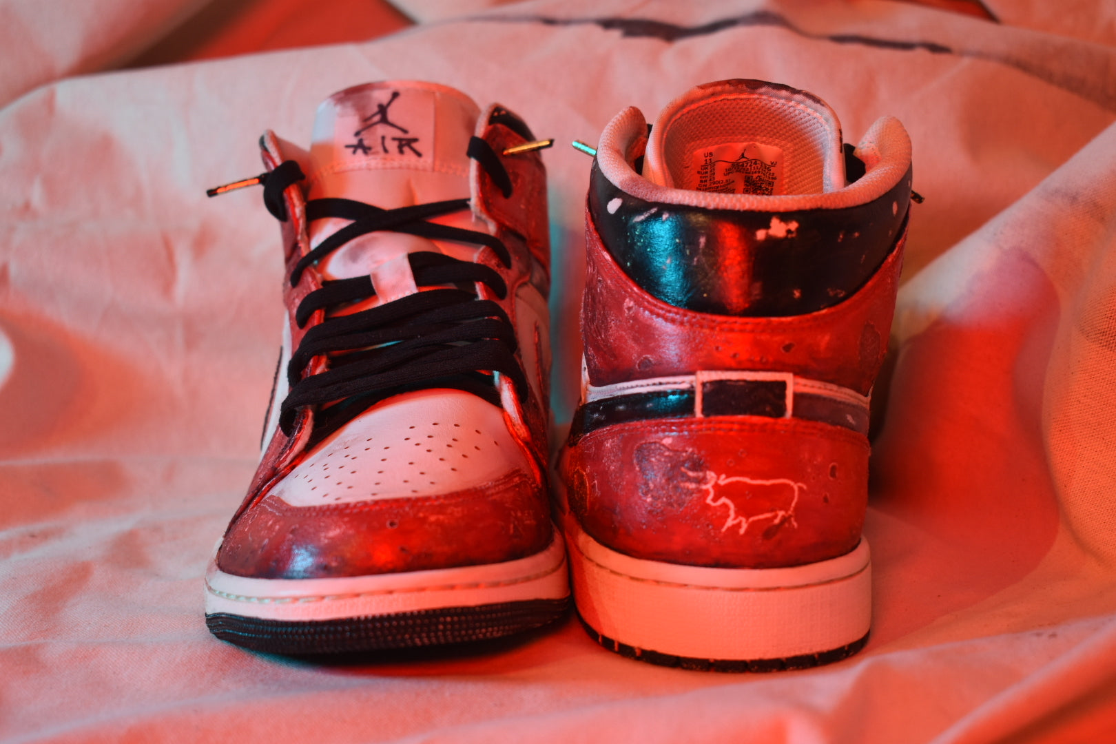 “Hall of Bulls” Jordan 1