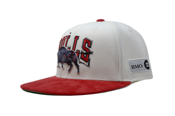 vintage bulls hats