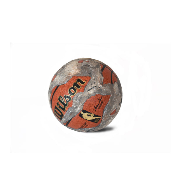 “Hall of Bulls” NBA Basketball
