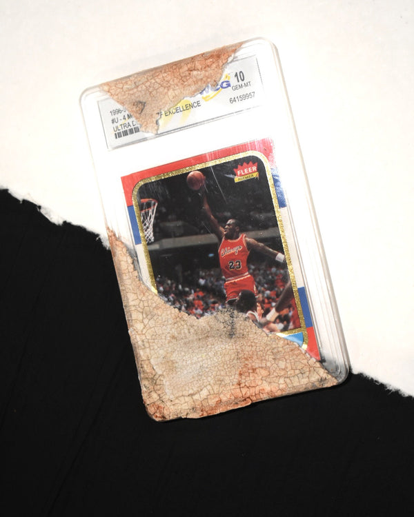 “Hall of Bulls” Companion Rookie Card