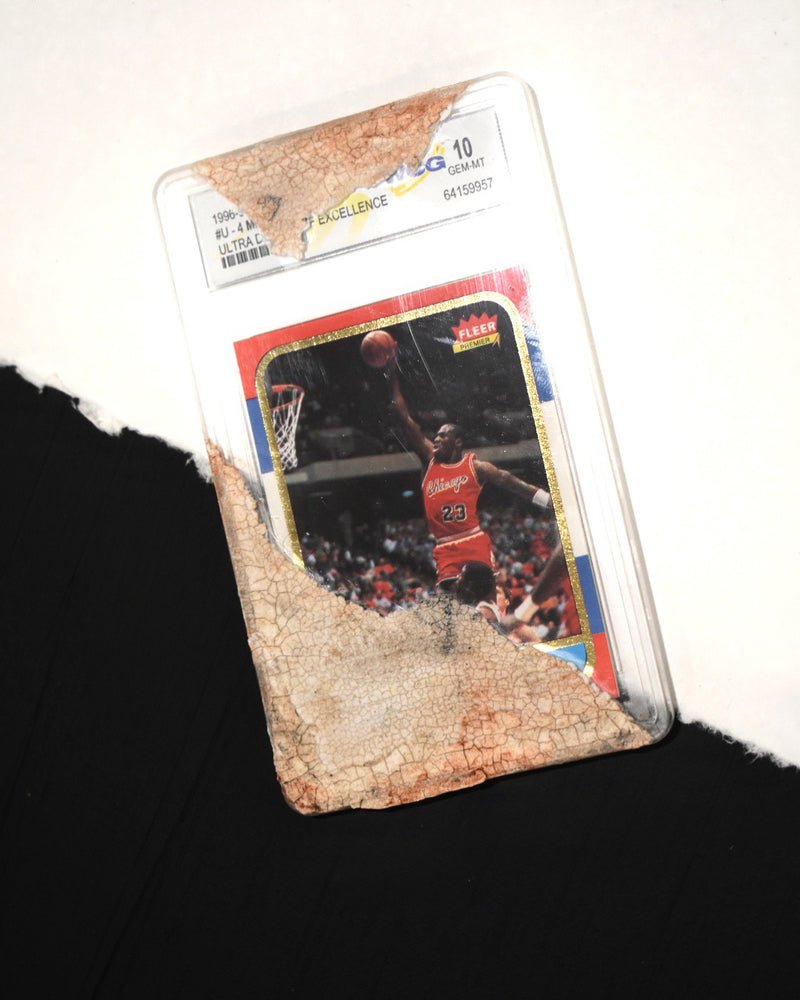 “Hall of Bulls” Companion Rookie Card