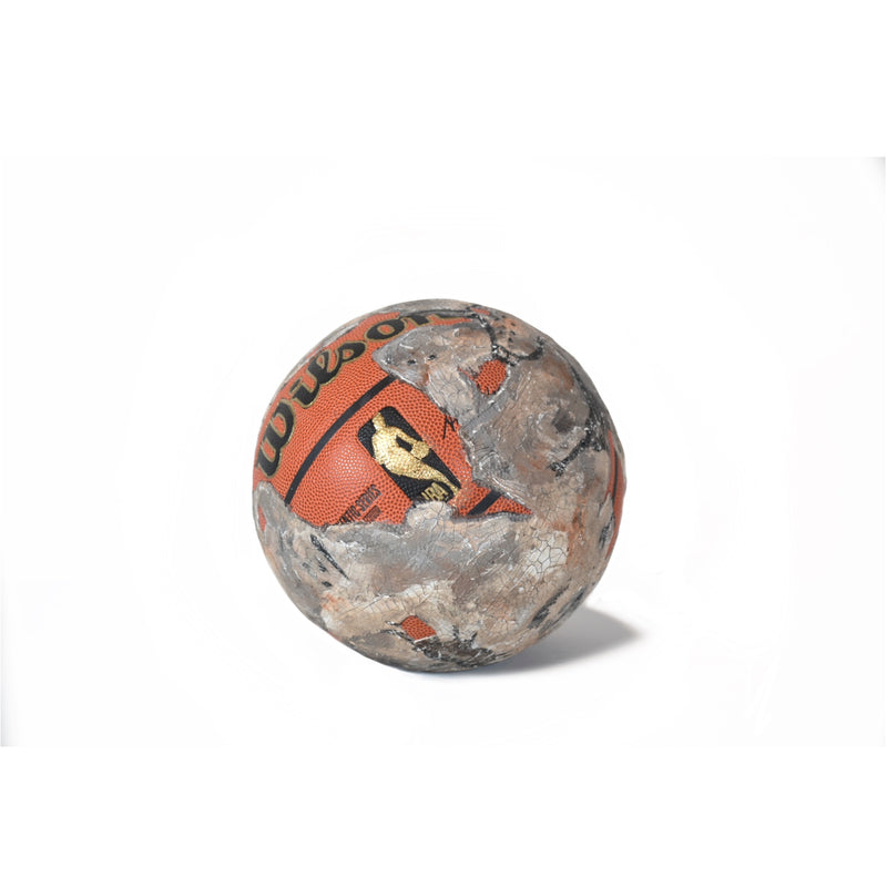 “Hall of Bulls” NBA Basketball