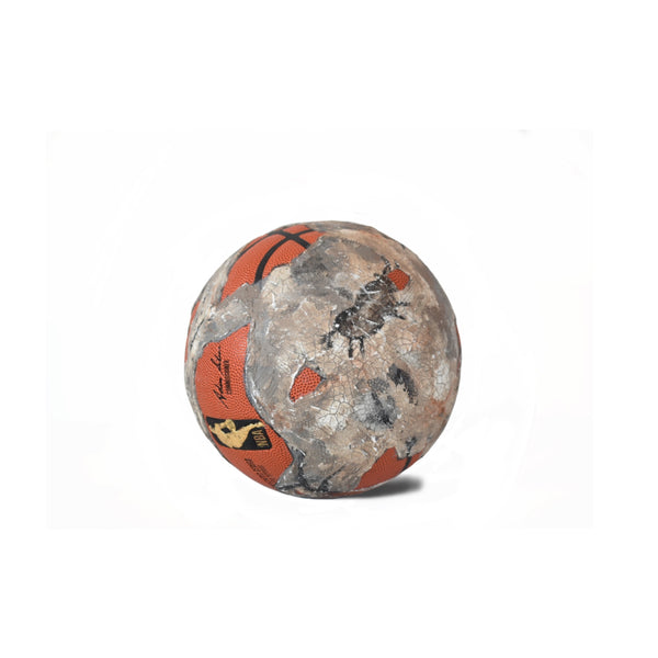 “Hall of Bulls” NBA Basketball