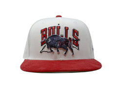 Official Chicago Bulls Artist Series Hat