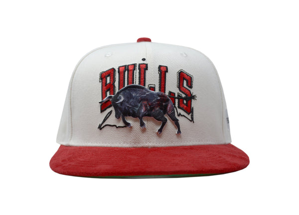 Official Chicago Bulls Artist Series Hat