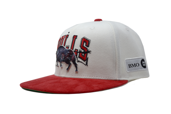 Official Chicago Bulls Artist Series Hat